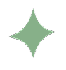 Star Top